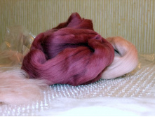 DSCF5587 1.jpg
