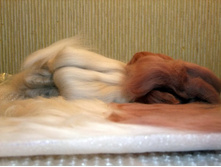 DSCF5588 1.jpg