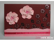 ����� ������