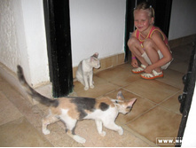 � ����� �� ��������� ...