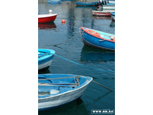 �������� �����