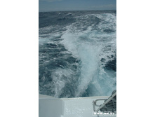 ������������ ���� �� 12 �����