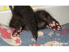 �������