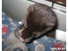 ��� ��� ������!