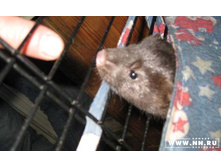 �! �������, ��������, ����� ������� :)