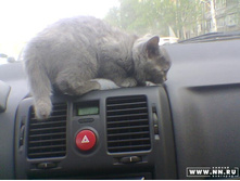 ����������!