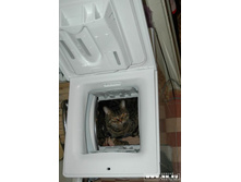 ����� ��� ����