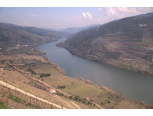 ������ ���� �����