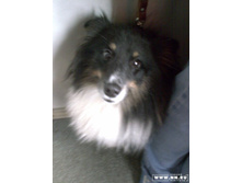 ��������� � �������