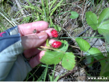 ��� �ݣ � ������� ����!