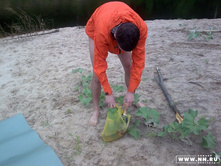 �������� �� �����-�� �� �������...