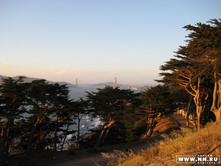 ������ ���� �����