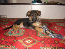 ��������� ������� 2 ���.