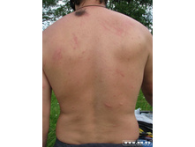 ����� ����� �����������