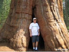 ���������� ���