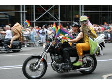 �������������� �����