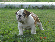 ������� 051.JPG