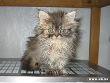 ��� ��� ������ ������� :)