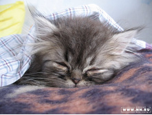 � ���� �� �������, ������ �����, ������������ � ������� ������ :)