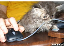 �����-�����