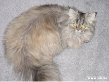 ������ ������ :)