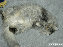 ����������