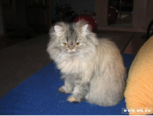 ������� ����� :)))