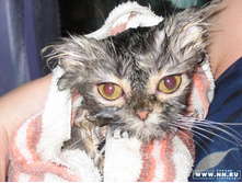 � ��� ������ �������� :)