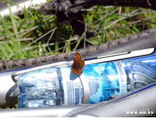 ������� 2