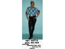 44713  �������  .jpg