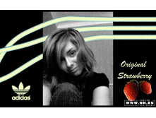 Adidas Originals Work by JED #5