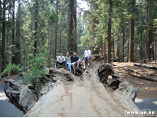 �� ������