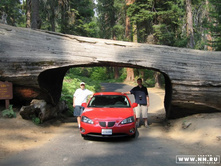 ��� �������