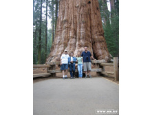 � ������