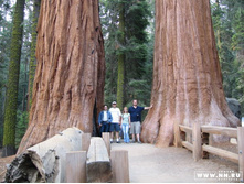 ����� ���������