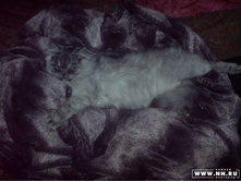 18.07.2008 16:01:39