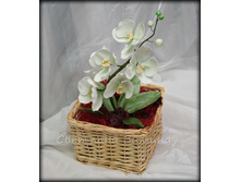 ������� � ���������.jpg