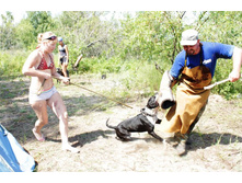 ������ ������ 011.jpg