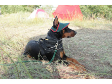 ������ ������ 063.jpg