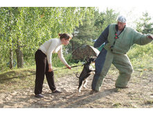 ������ ������ 071.jpg