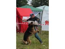 ������ ������ 144.jpg