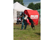 ������ ������ 176.jpg