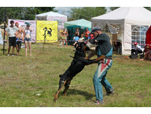 ������ ������ 184.jpg