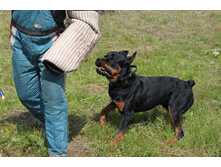 ������ ������ 186.jpg