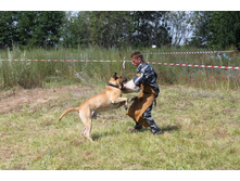 ������ ������ 223.jpg