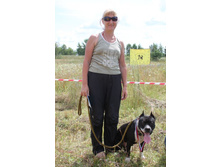 ������ ������ 264.jpg