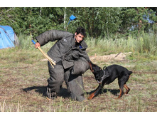 ������ ������ 306.jpg