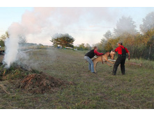 ������ ������ 313.jpg