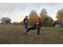 ������ ������ 320.jpg