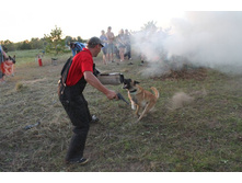 ������ ������ 326.jpg